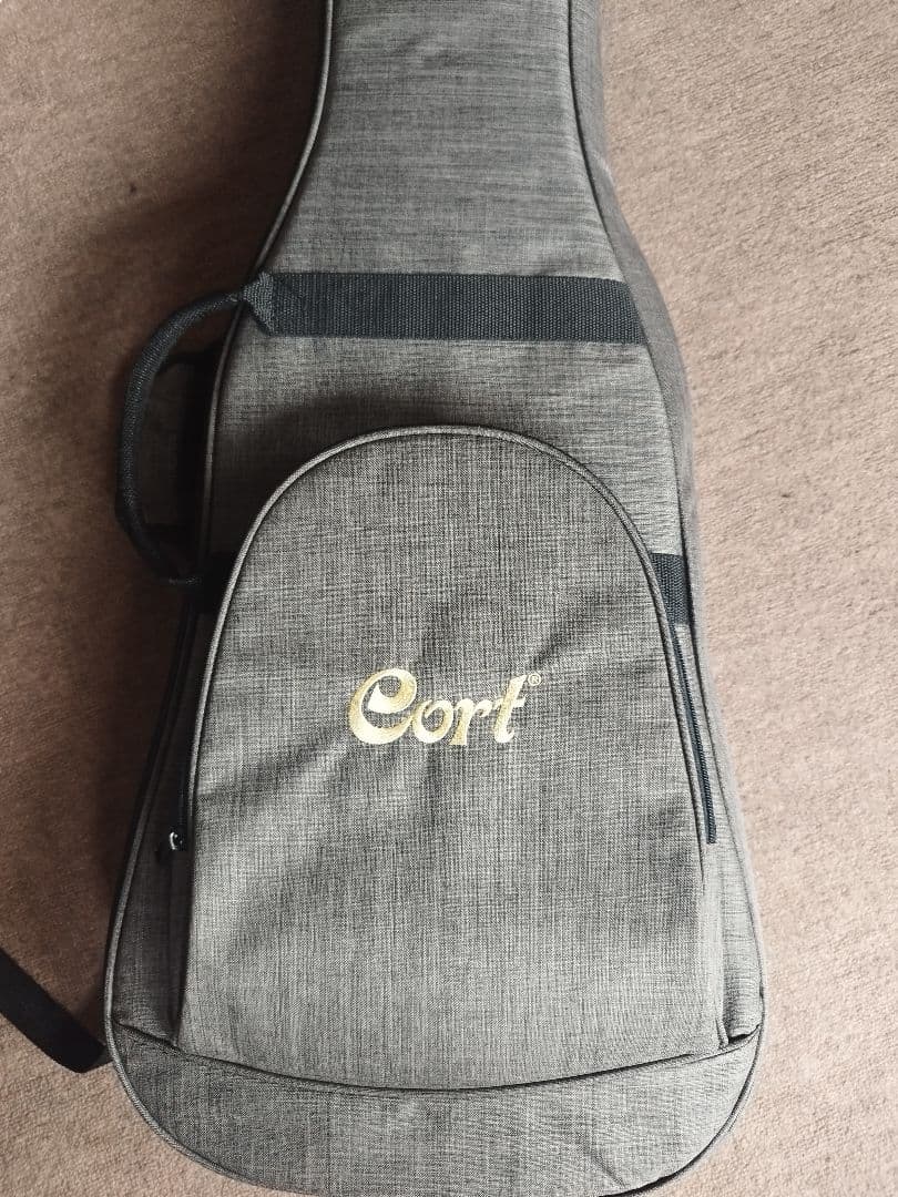 Cort G300 pro エレキギター ゴールド