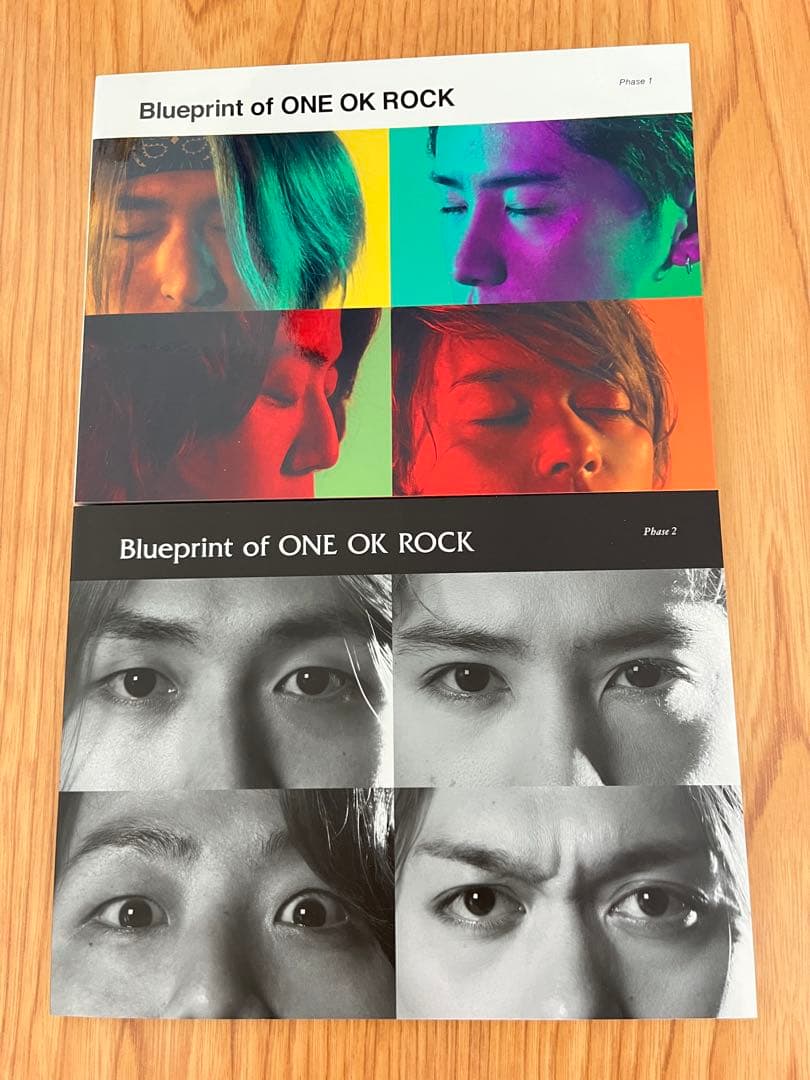 ミュージック ONE OK ROCK Ambitions 2018 DVD
