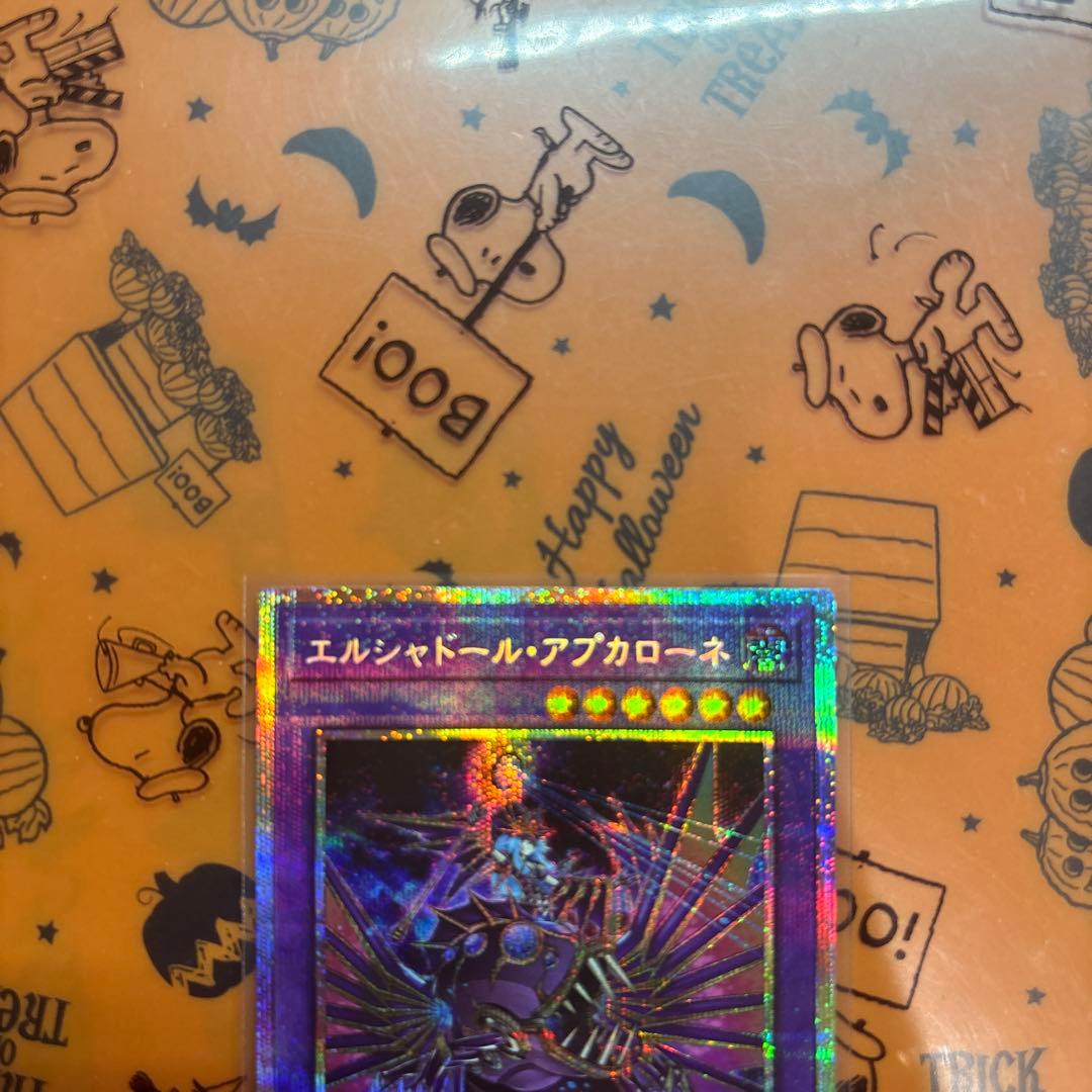 エルシャドールアプカローネ　五つ目個体　極美品