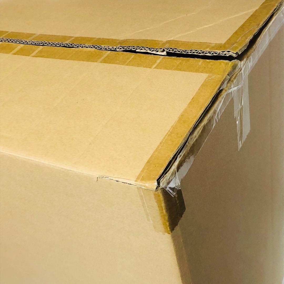 エクスプラス ギガンティックシリーズ ゴジラ2016 鎌倉上陸 少年リック限定