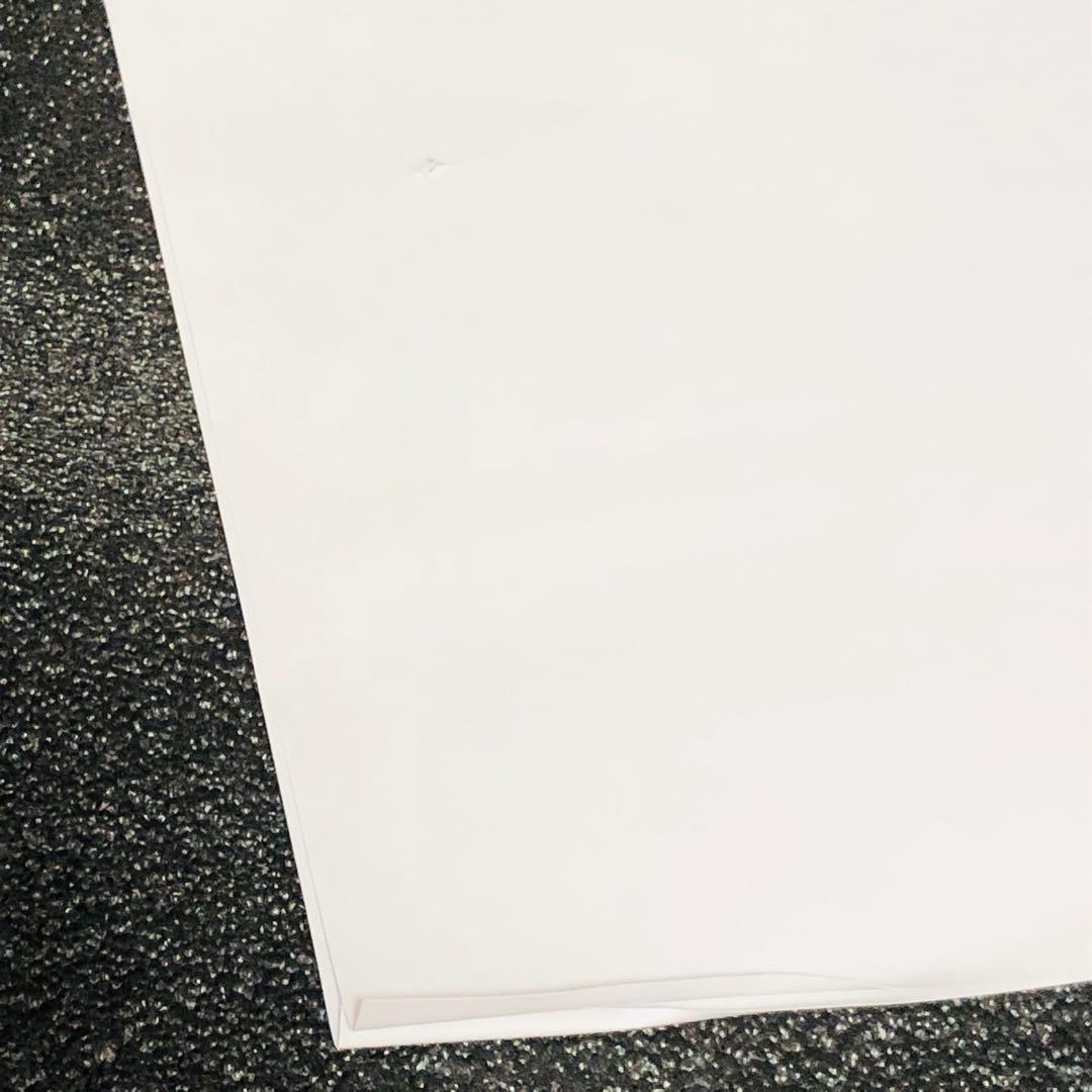 エクスプラス ギガンティックシリーズ ゴジラ2016 鎌倉上陸 少年リック限定