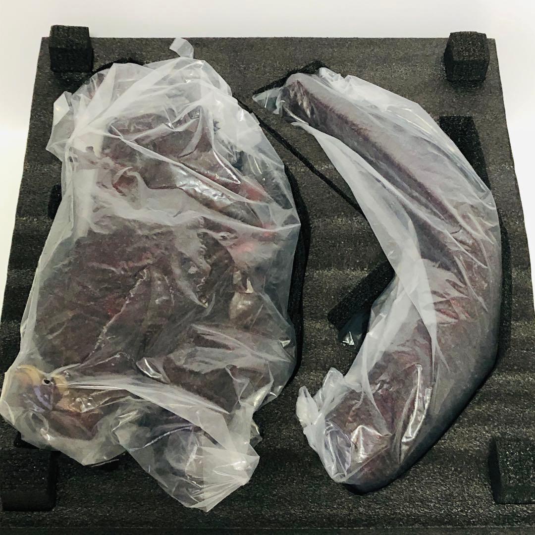 エクスプラス ギガンティックシリーズ ゴジラ2016 鎌倉上陸 少年リック限定