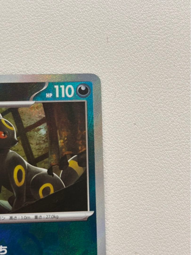 ブラッキー マスターボールミラー テラスタルフェスex収録