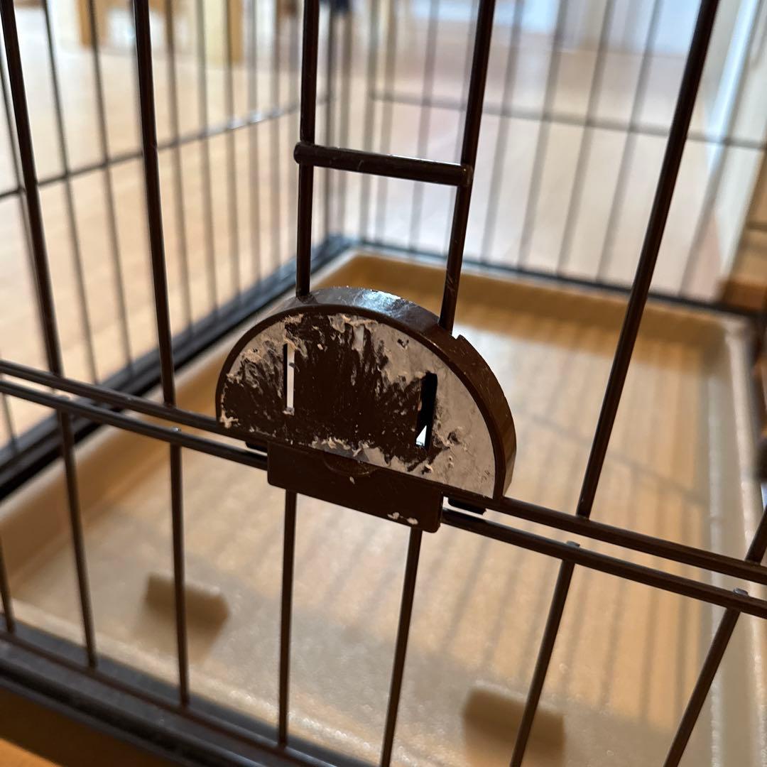 今週限り　ペティオ　ドッグルームサークル　レギュラーサイズ