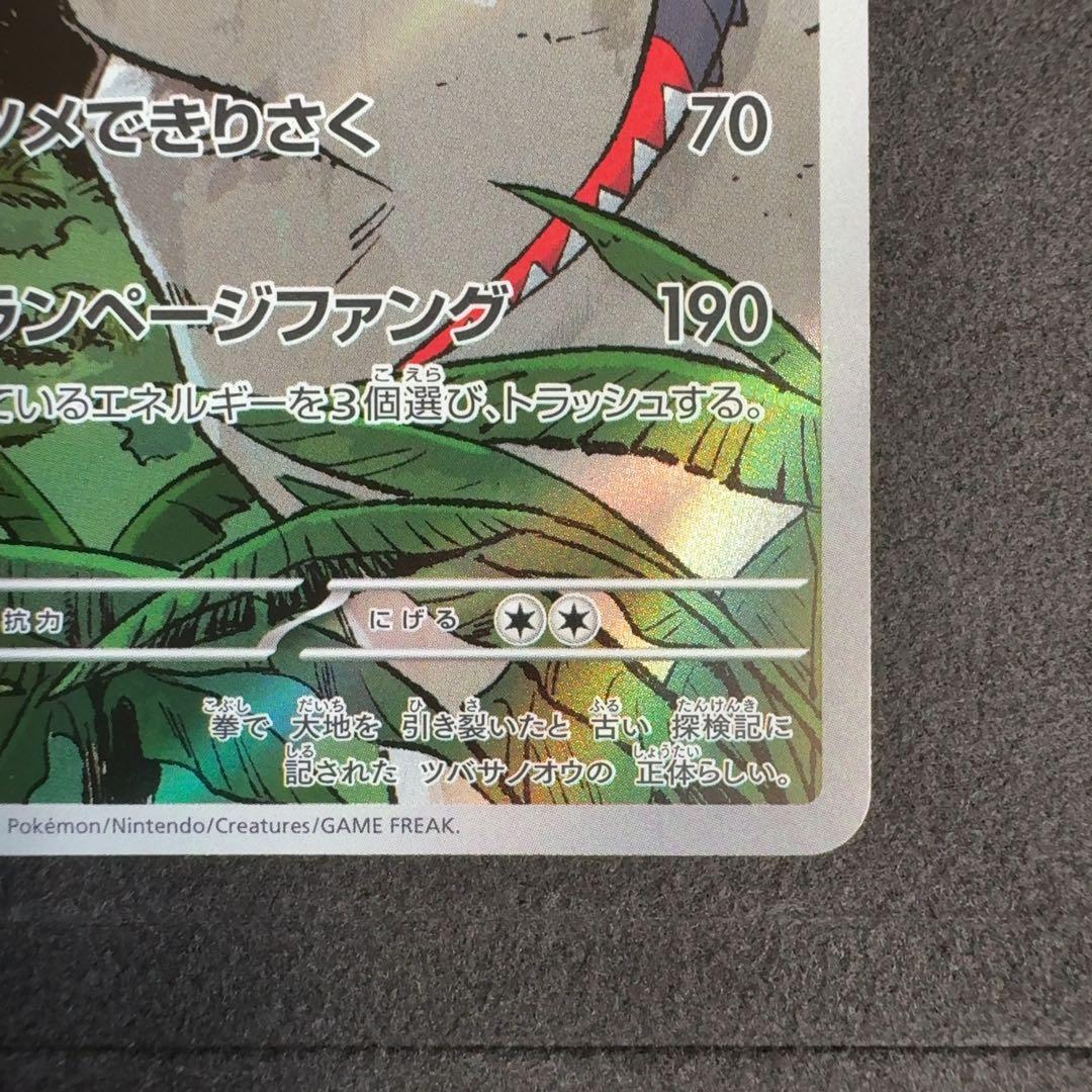 コライドン プロモ AR仕様