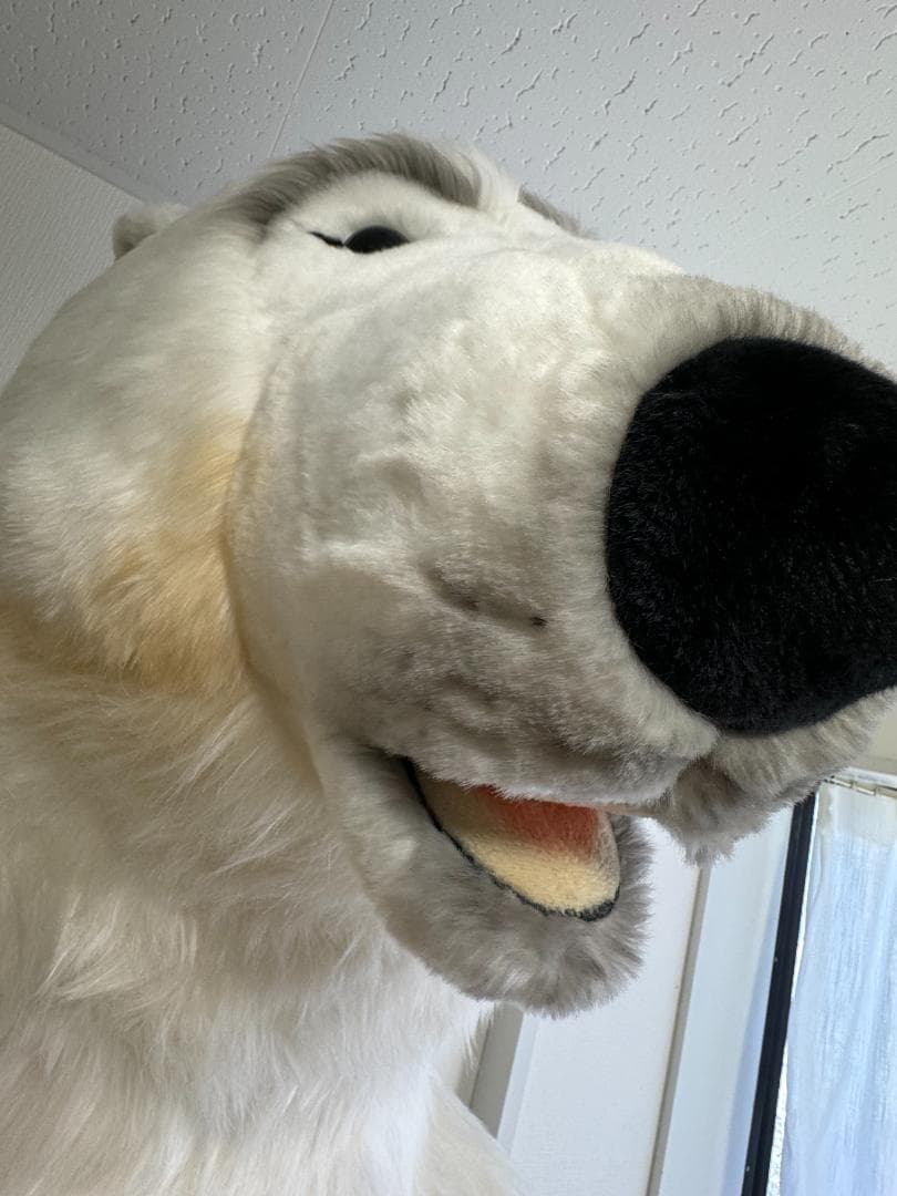 シュタイフ スタジオシリーズ ポーラベア 195cm EAN50161 希少特大