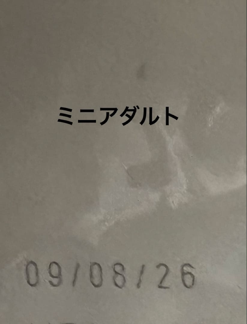  CANIN ミニアダルト 15キロ　ロイヤルカナン