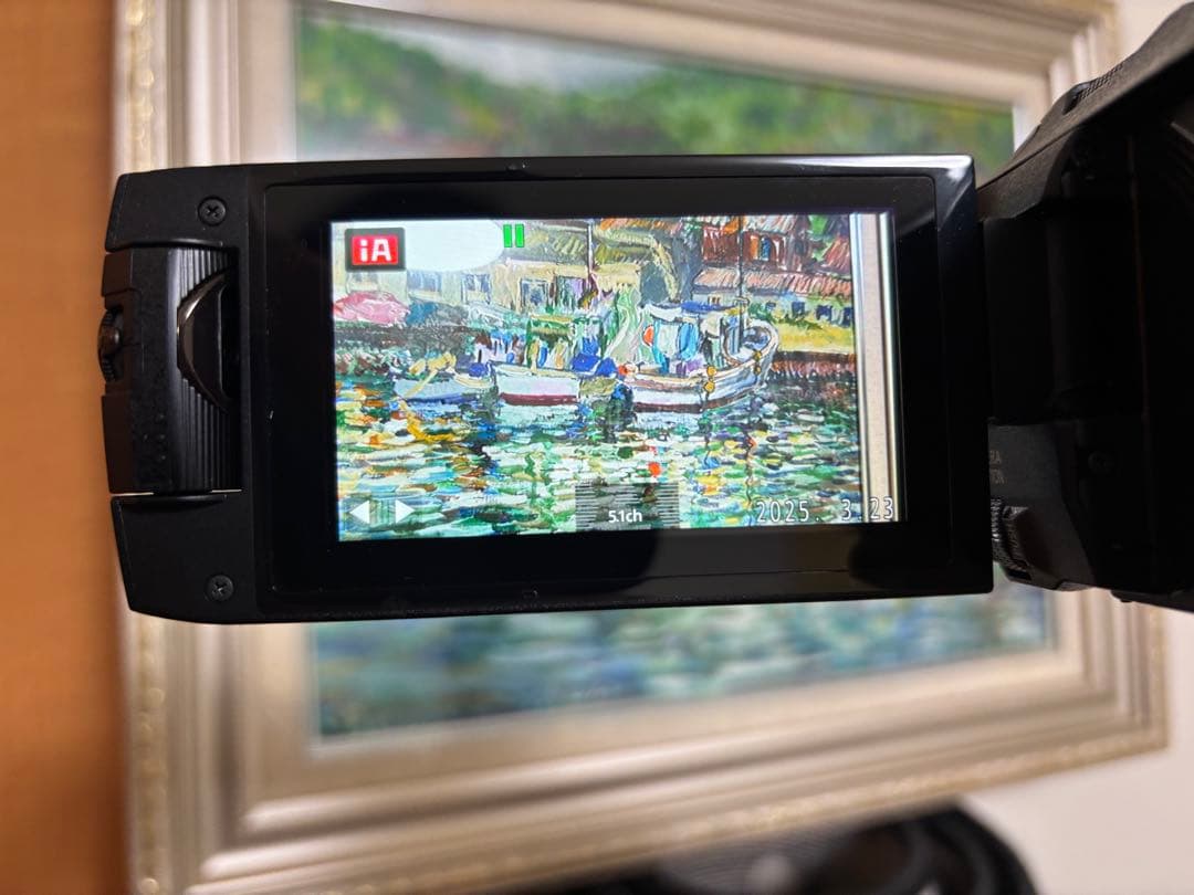 Panasonic デジタル4Kビデオカメラ HC-WX970M-K 予備BT付