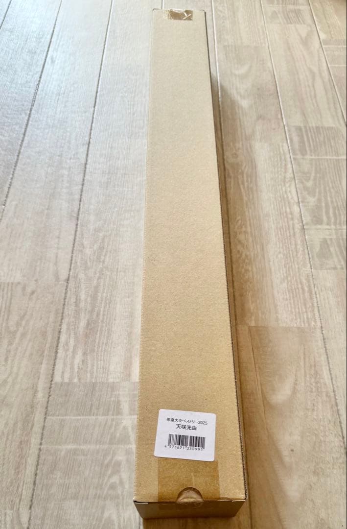 スターダム 等身大タペストリー 天咲光由　2025