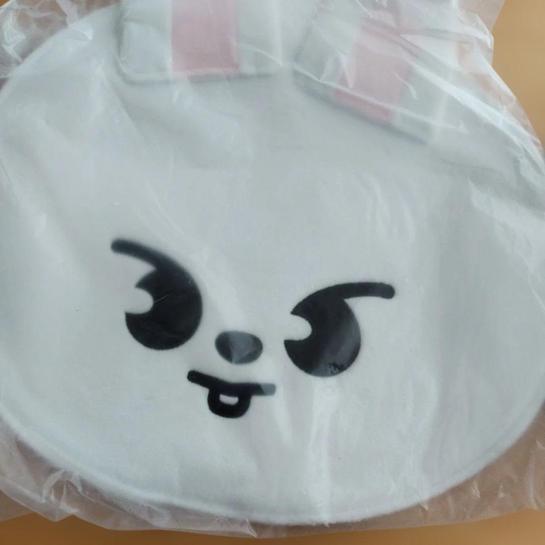 stray kids 公式 ペンライトうちわケース アクスタケースセット