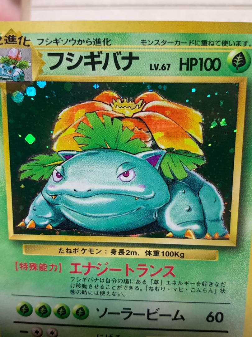 ポケモンカード 初期 フシギバナ キラ No.003 旧裏面 当時物 希少