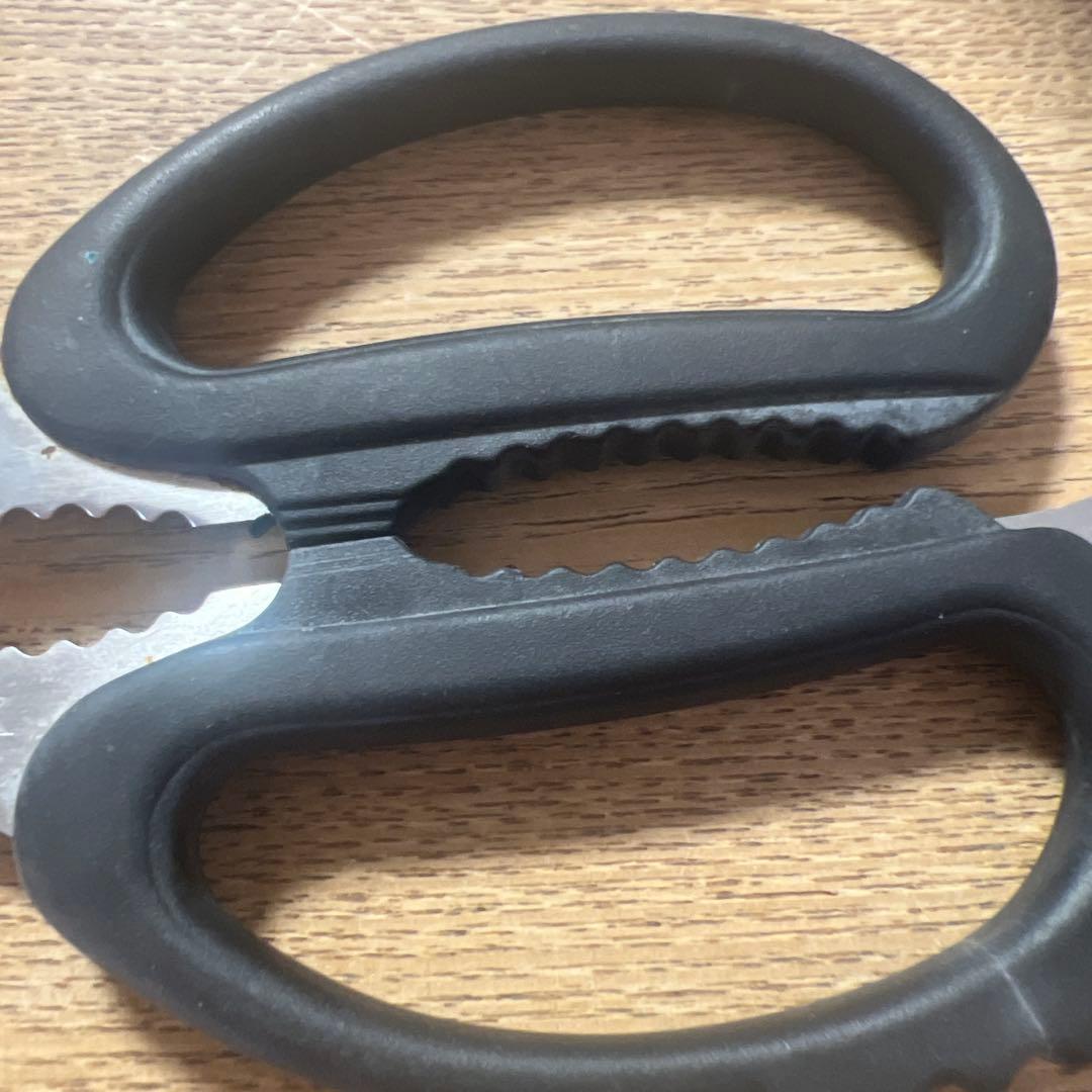 BUCK ステンレススチール はさみ レザーケース付き