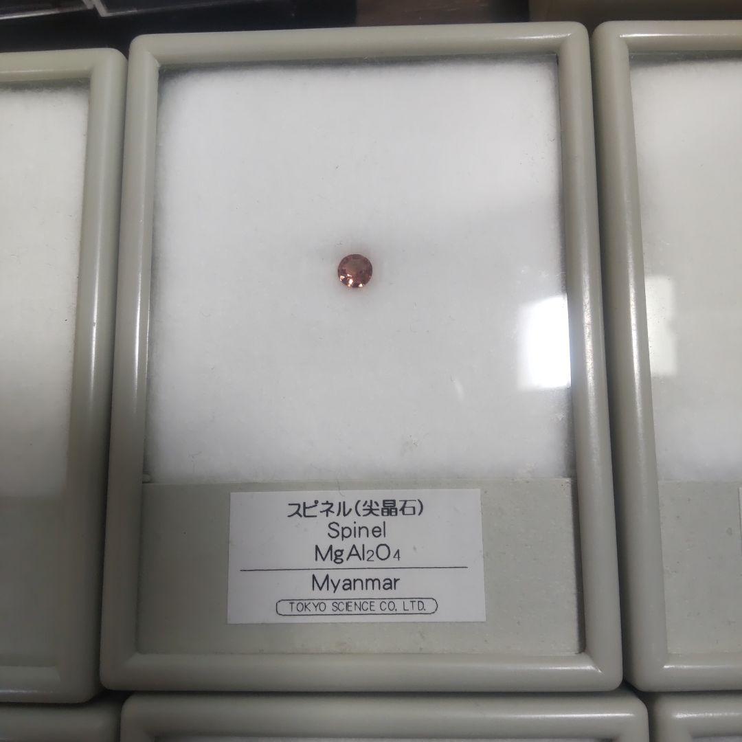 化石・鉱石セット