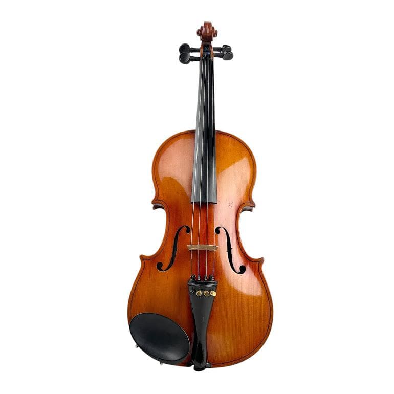 ●N. Audinot●4/4サイズ バイオリン フランス製 violin 極虎