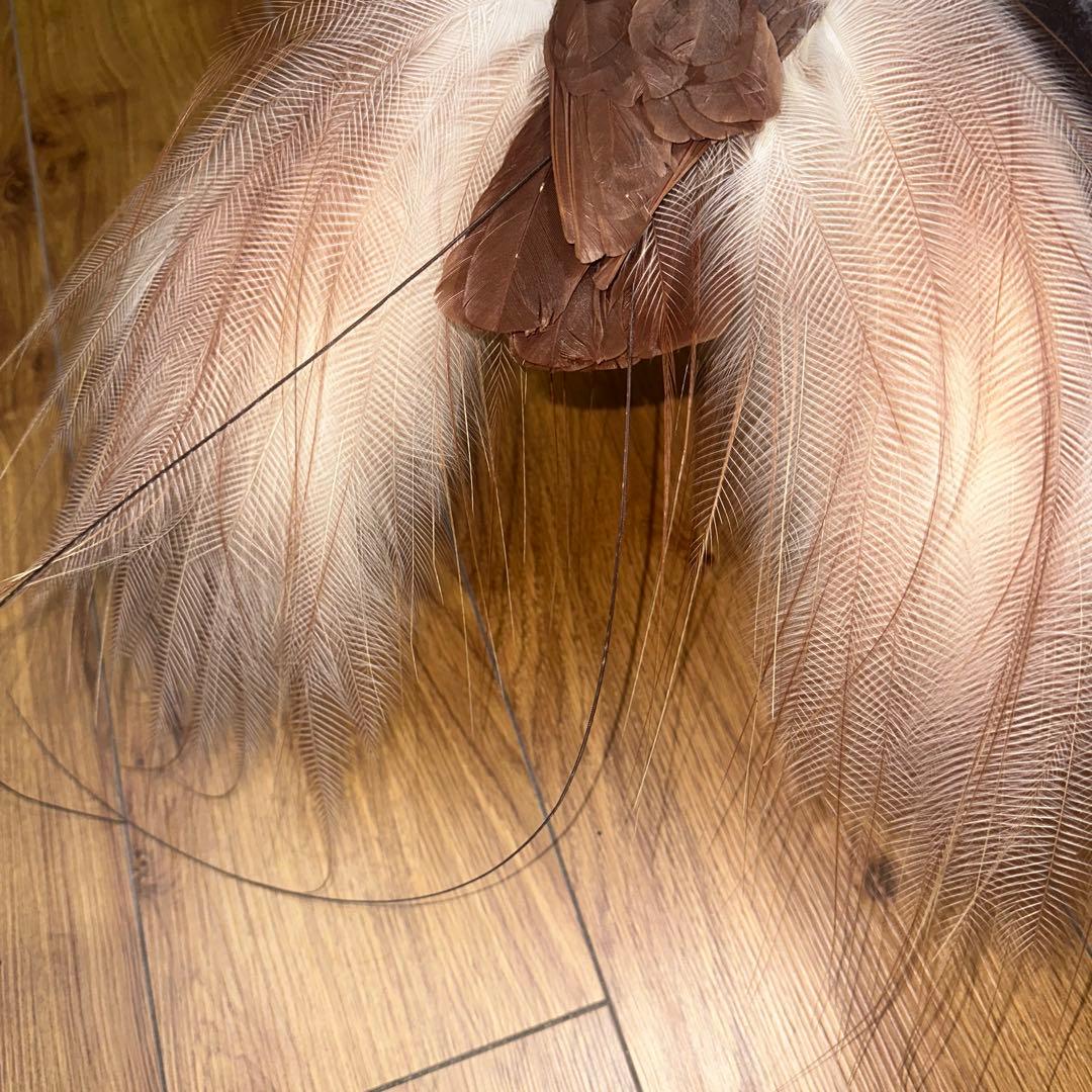 パリ鳥オブジェ　台座付アンティークビンテージ bird of paradise