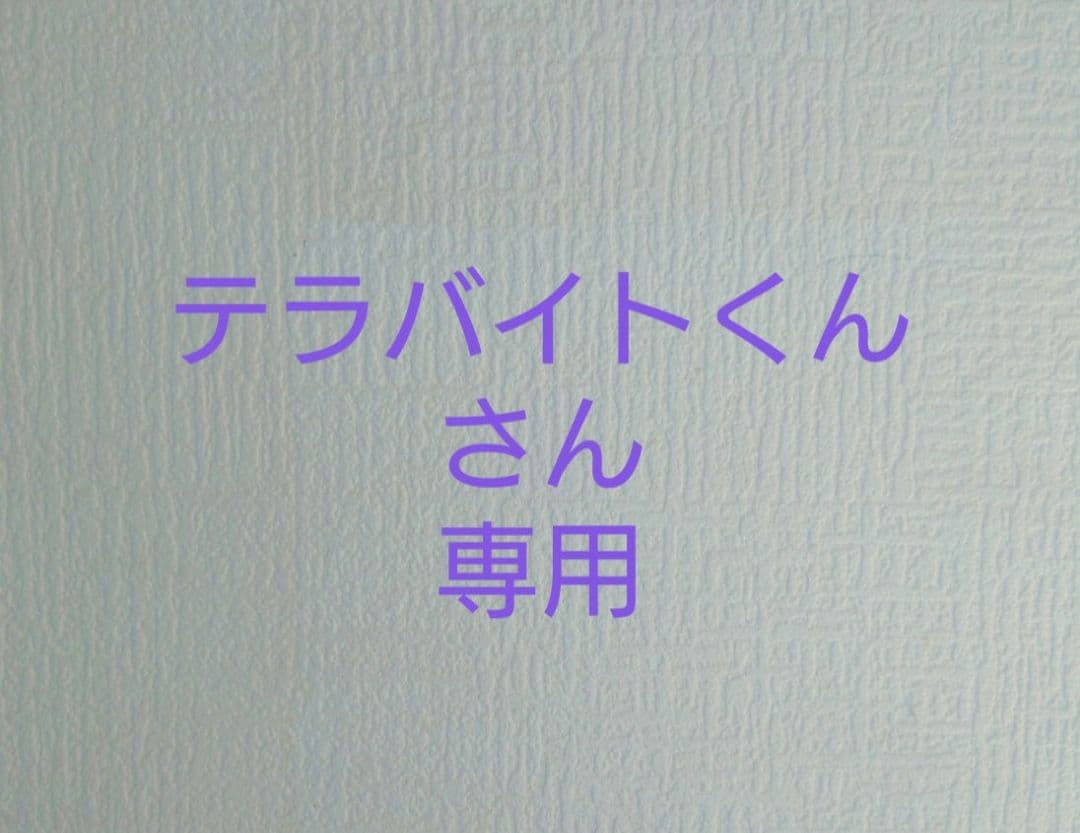 テラバイトくんさん専用