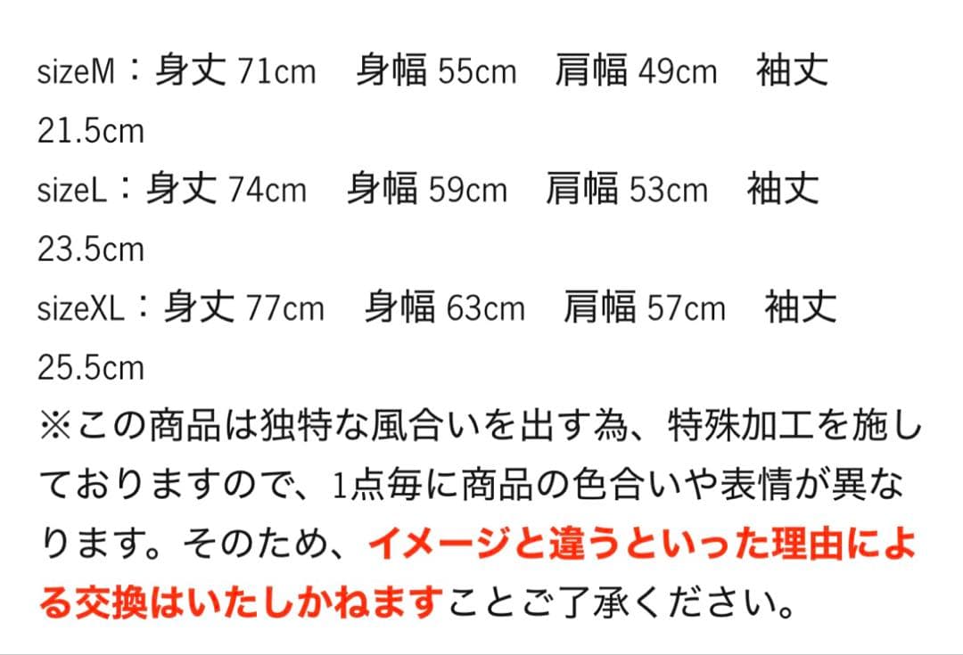 猫*読様 vaultroom nqrse devil tee charcoal