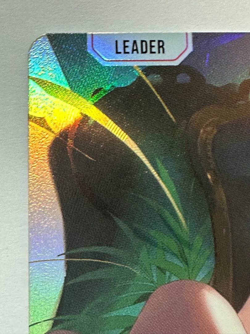 夜【 XrossStars 】クロススターズ　クロスタ　小森めと　LRPP