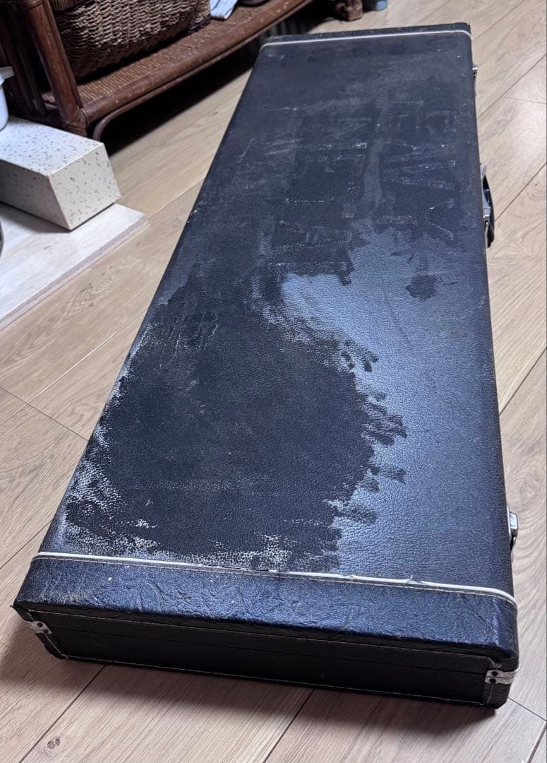 ギター Kevin Hochbaum