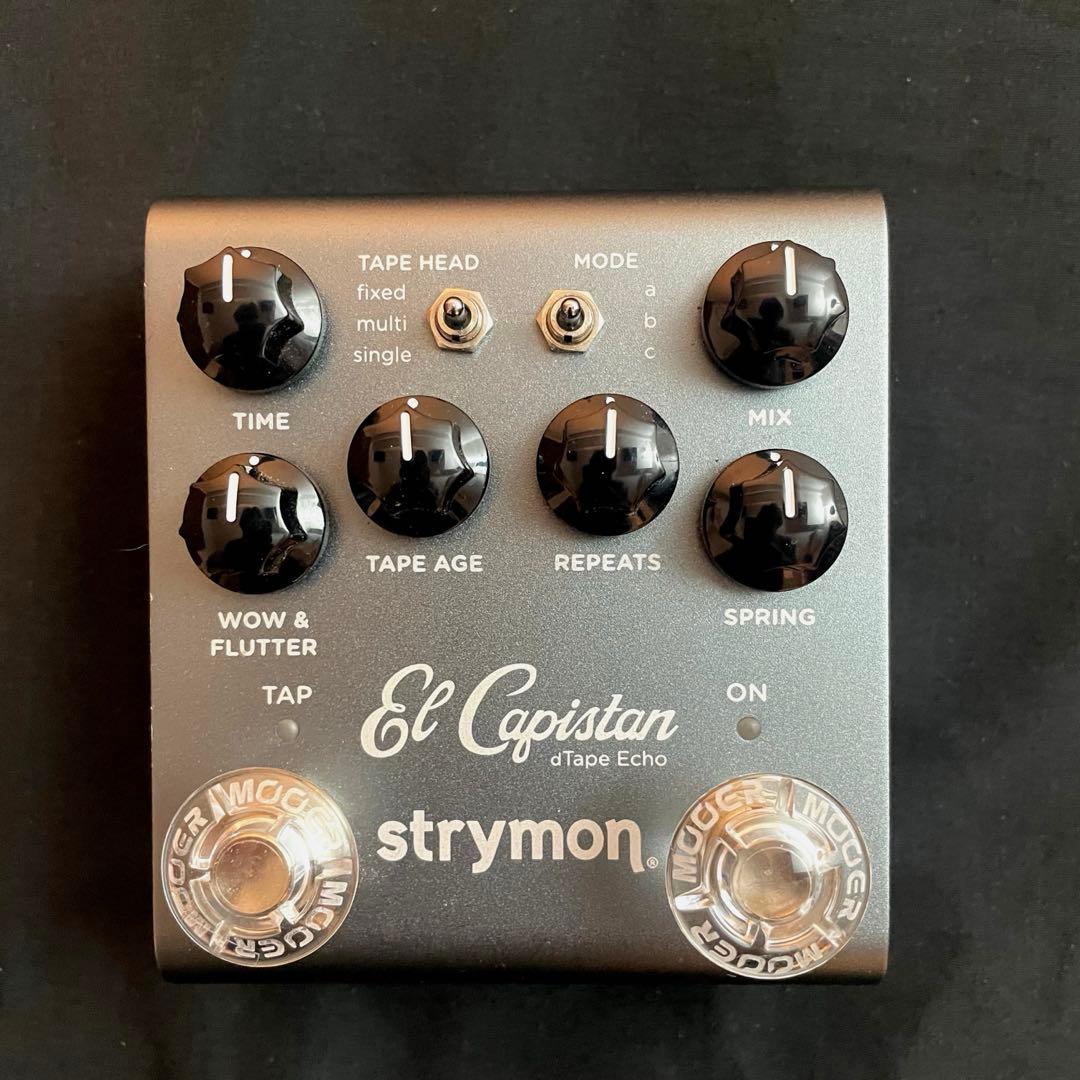 【ゆう】Strymon El Capistan V2