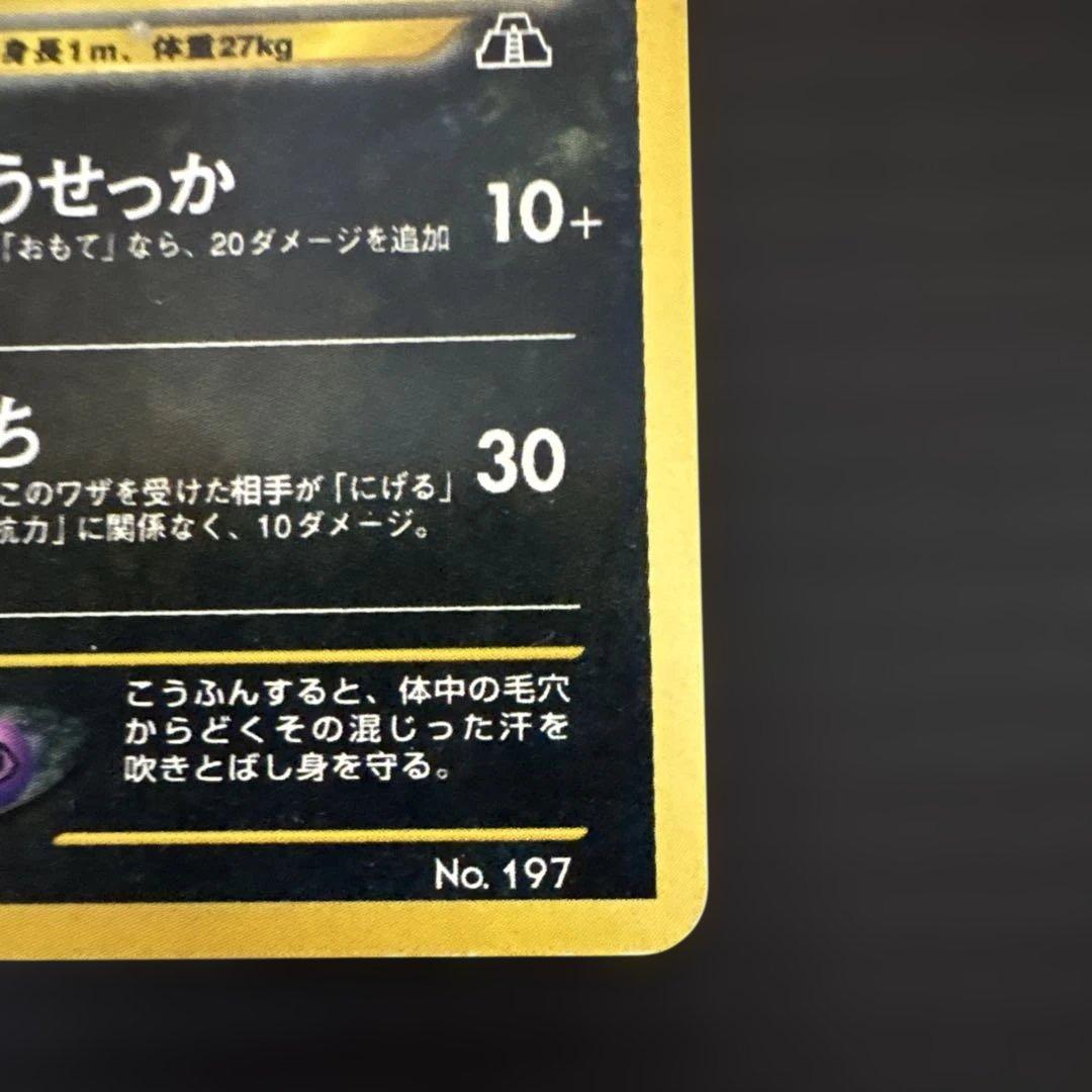 ポケモンカード　旧裏　ブラッキー　プレミアムファイル2