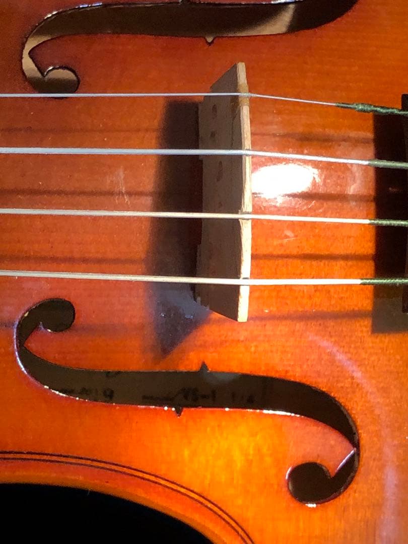 バイオリン　1/4 カルロジョルダーノ