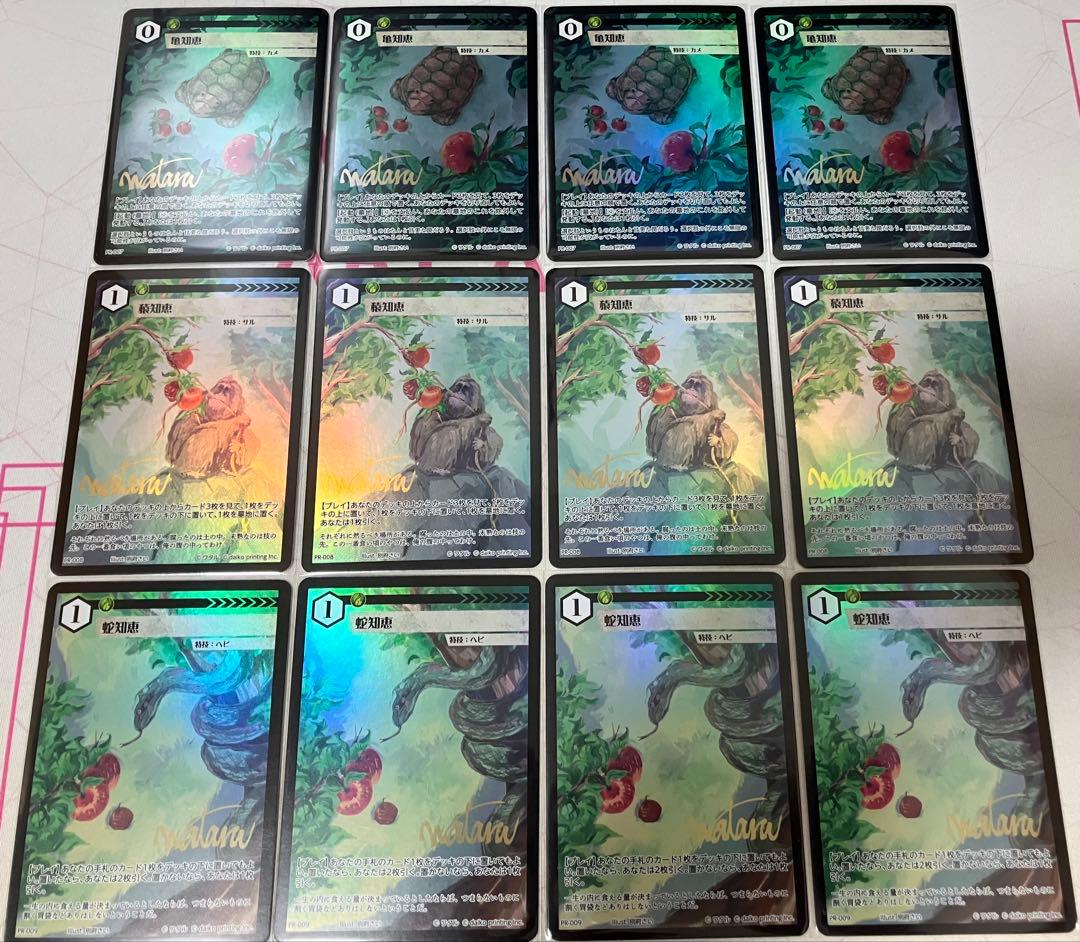 アニマルカードゲーム 亀知恵 蛇知恵 猿知恵 PR12枚セット