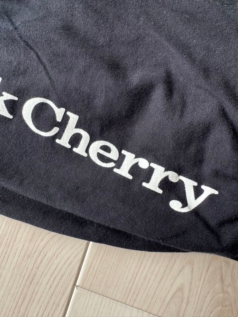 Acid Black Cherry サルエルパンツ