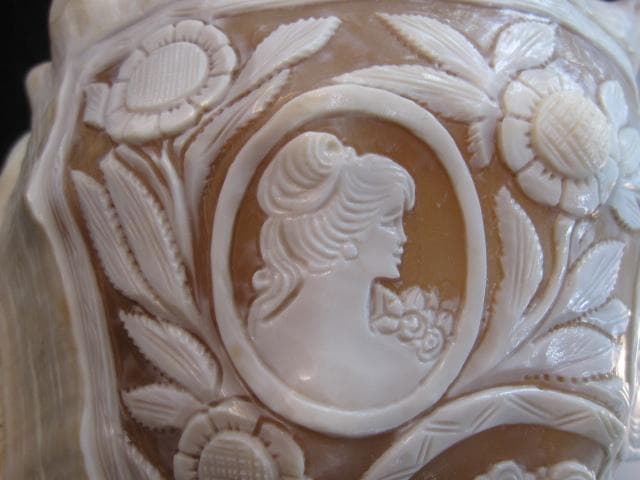 カメオ細工　クチグロトウカムリ　イタリア