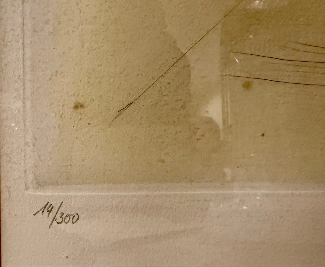 サルバドール・ダリ「The Cosmic Horseman」版画額装 #196