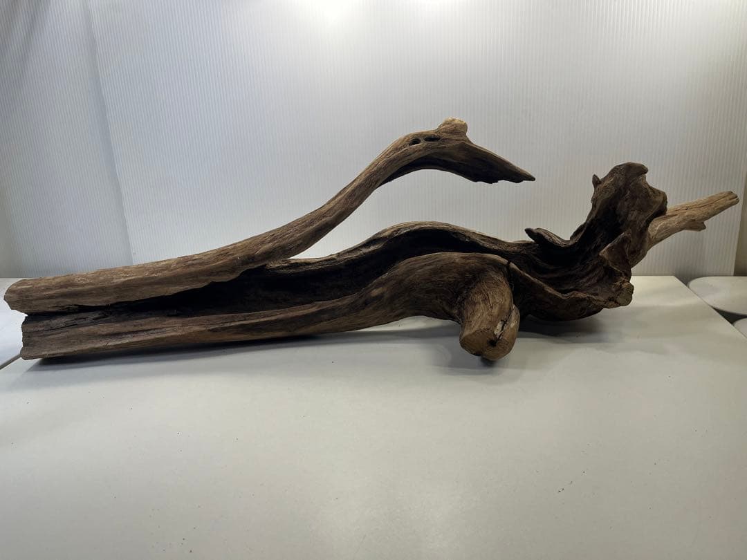 R71特大流木 アク抜き済み流木 爬虫類シェルター 登り木 インテリア 生け花