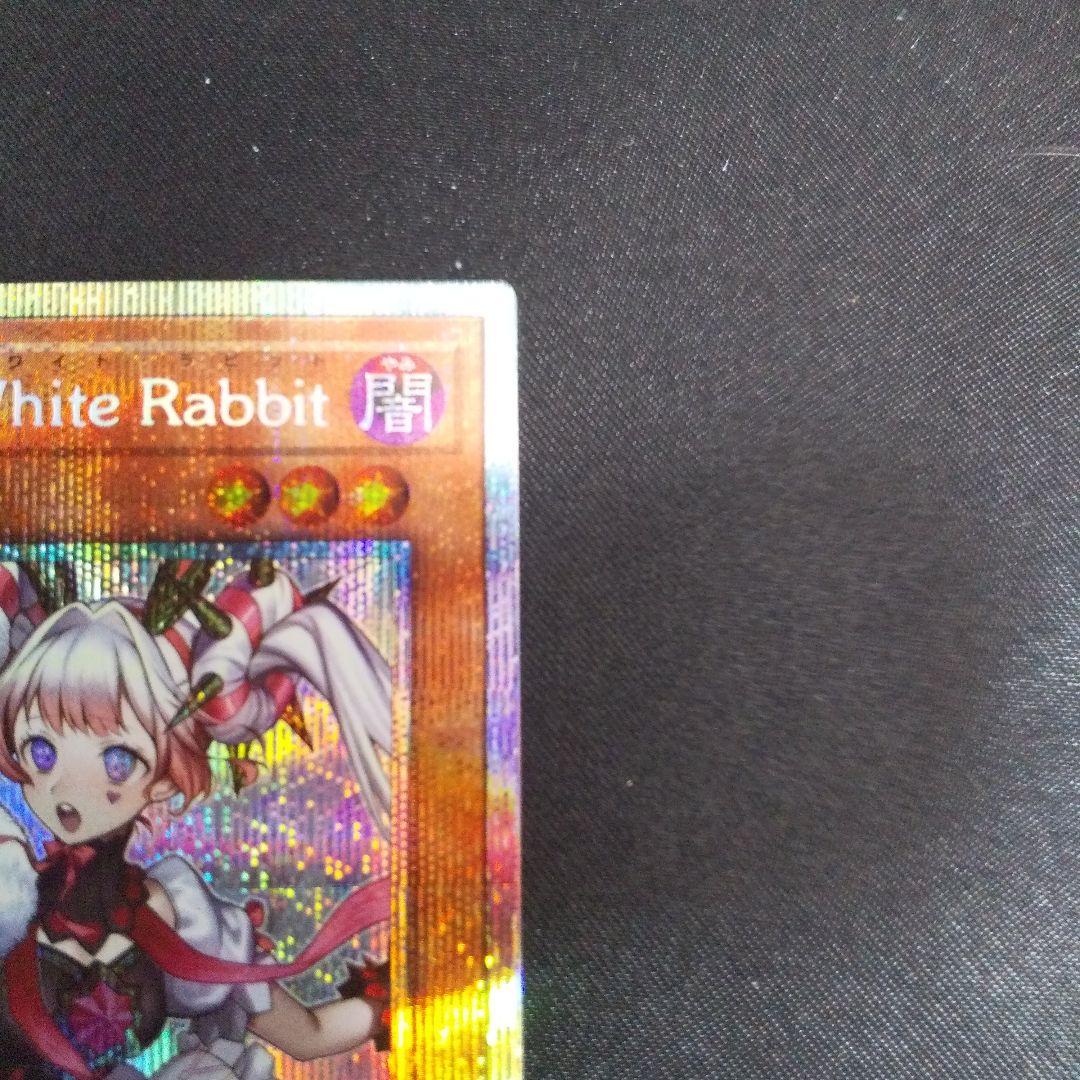 M∀LICE〈P〉White Rabbit　プリズマティックシークレット