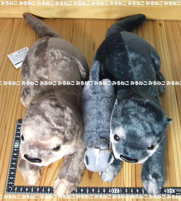 特大 リアルアニマルズ アートドール カワウソ 全2種 おねだり 新品 セット