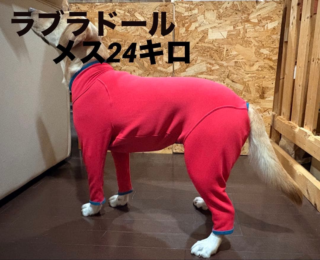 ALPHAICON HOT DOG GUARD ホットドッグガード XLサイズ