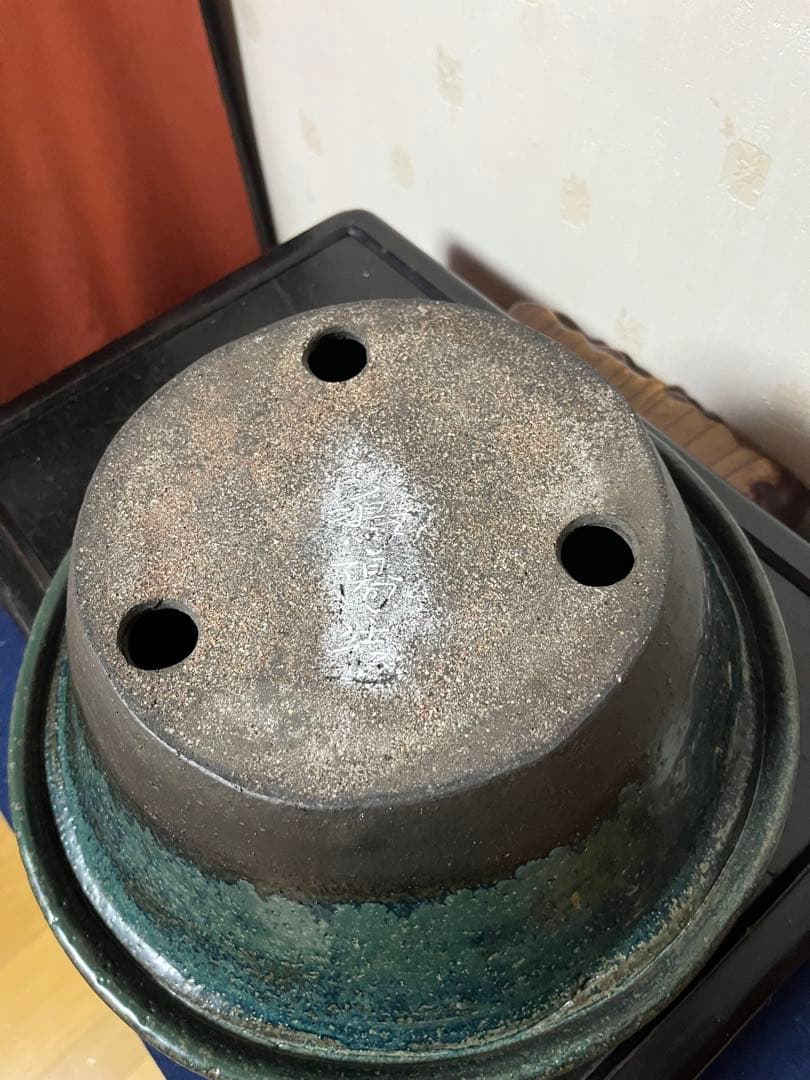 475 盆栽　盆栽鉢　植木鉢　和鉢　鴻陽