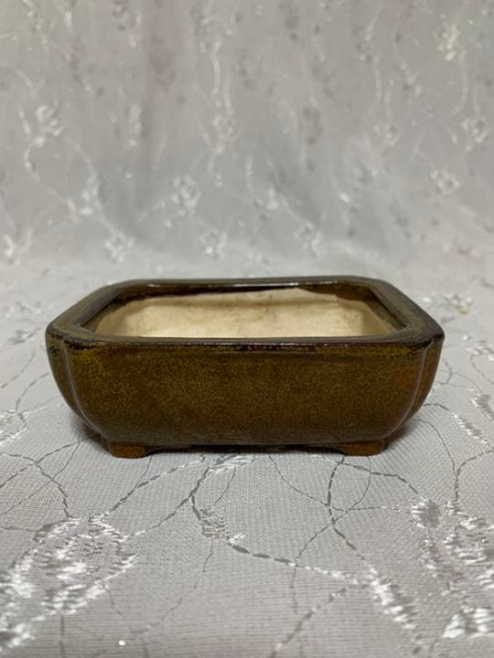御蔵山　盆栽鉢　ミニ盆栽鉢