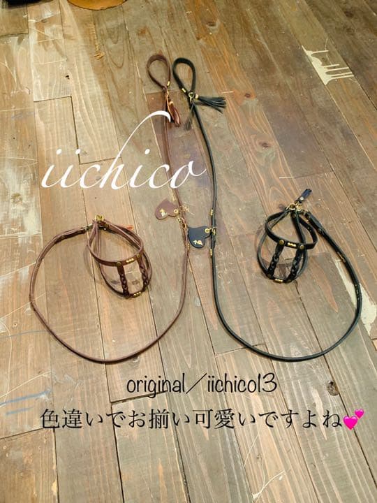 犬用　リード＆ハーネス【本革】original BLACK STUTS❣️