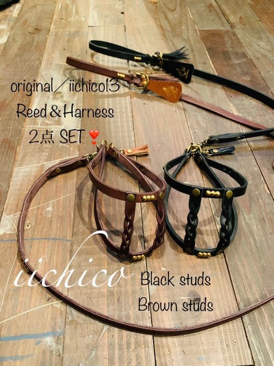 犬用　リード＆ハーネス【本革】original BLACK STUTS❣️