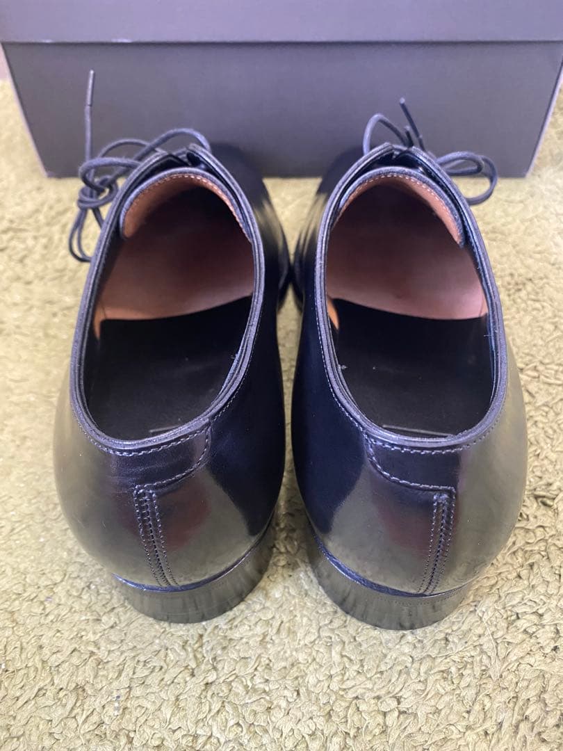 三陽山長 / 一之介 / ホールカット / R309 / 6.5