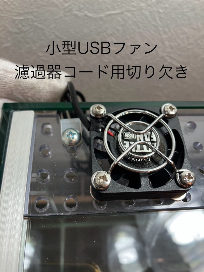 アクアサイダーのイモリウム水槽 サイズ45cm