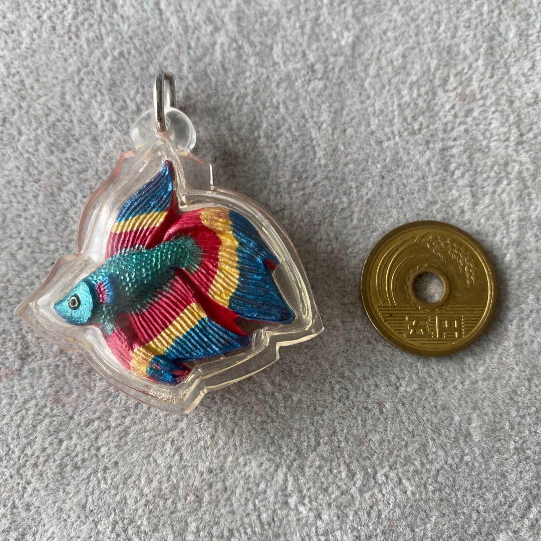 プラクルアン プラカッド 闘魚 危険回避 経済運 商売運 恋愛運 御守り