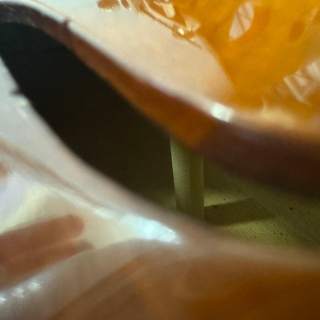 ☆鈴木バイオリン　バイオリン　1/2　No.200　2002年製　スズキ