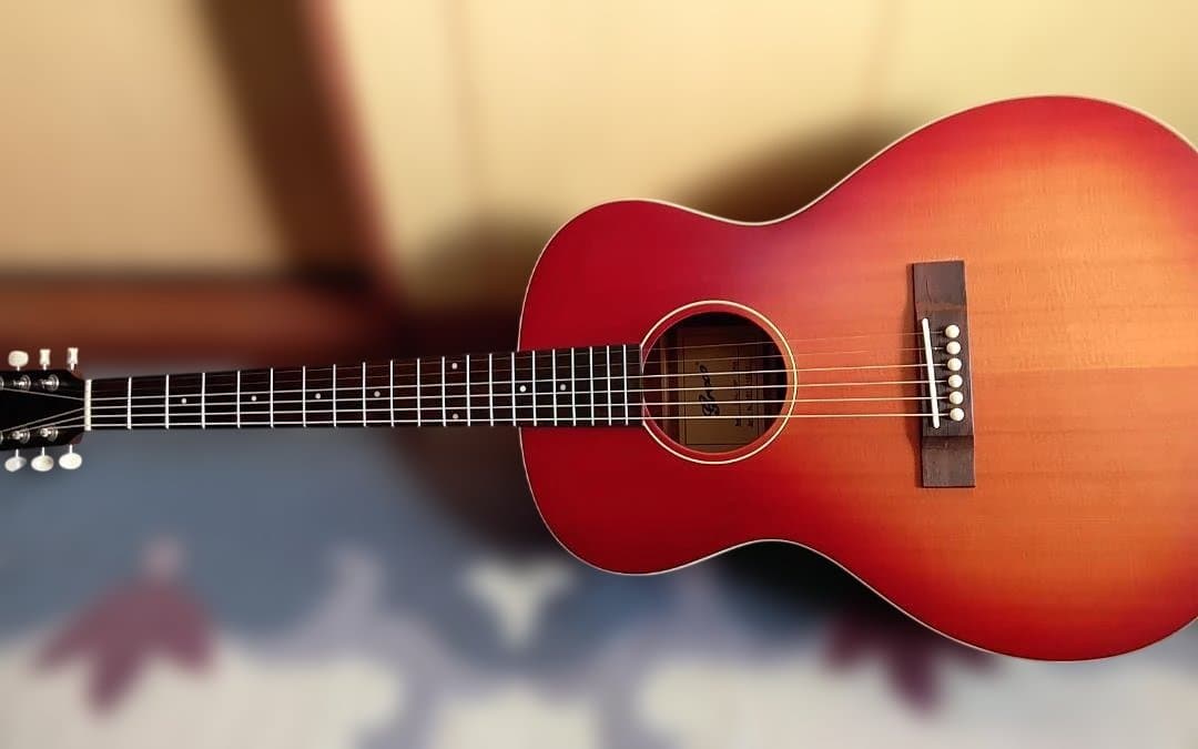 最終大幅値引き‼️美品❗Grecoグレコ　GAL-30P　エレアコ