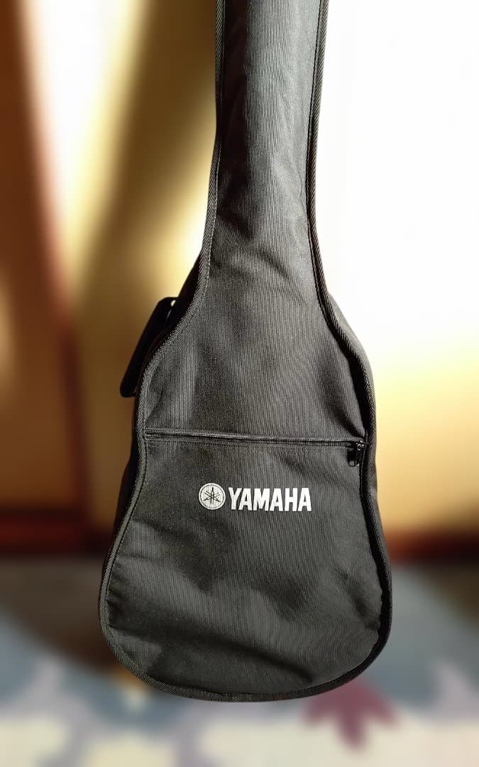 最終大幅値引き‼️美品❗Grecoグレコ　GAL-30P　エレアコ