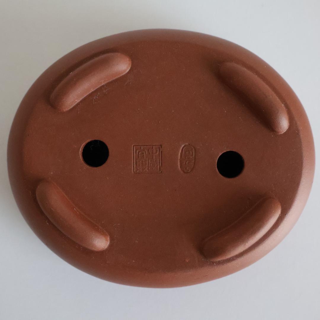 『 呉徳盛製 』『 中国宜興 』在銘 中国古盆器 紫砂 朱泥 紫砂鉢 盆栽鉢