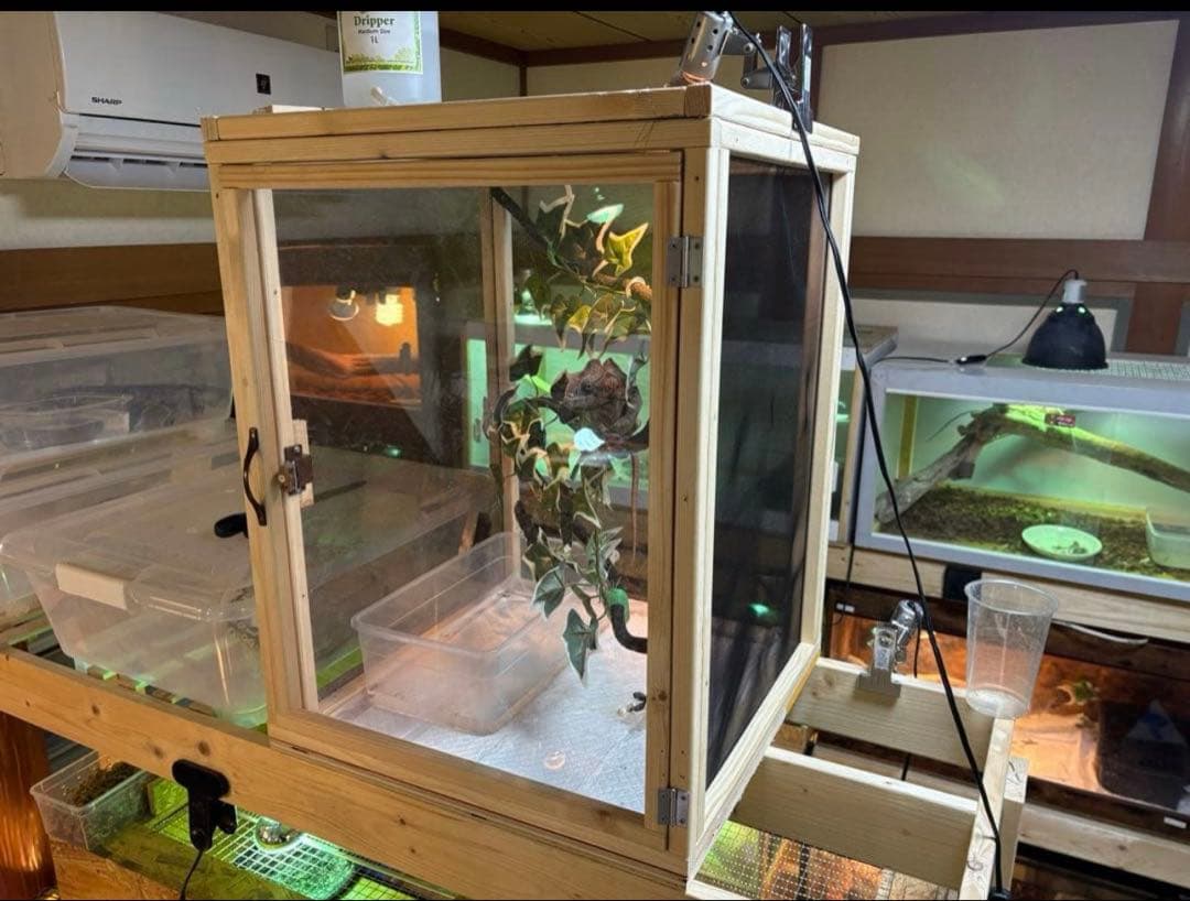 爬虫類ケージ　60×40×40 メッシュ　アクリル扉　カメレオン　ケージ　ペット