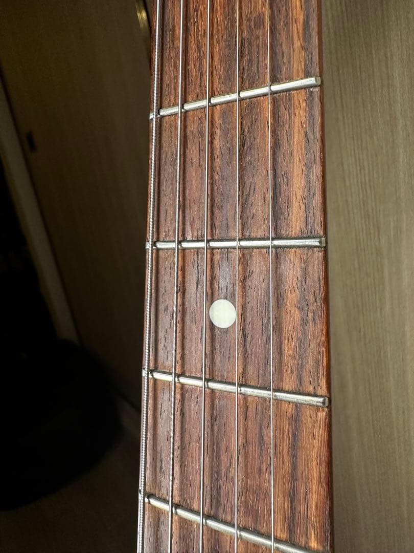 Seymour Duncan DS-100R Stratocaster 日本製