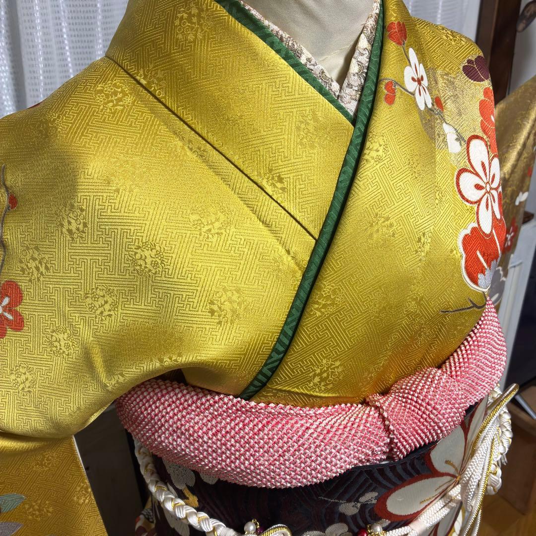 ＊ぽぽりん様＊【振袖フルセット】 豪華金彩 古典柄 藤 花柄 7点セット