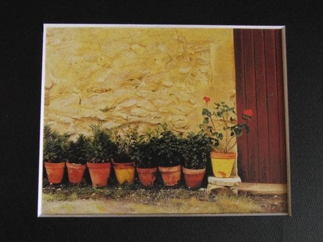 中尾新也、【石壁と植木鉢（ニヨン）】、希少な額装用画集より