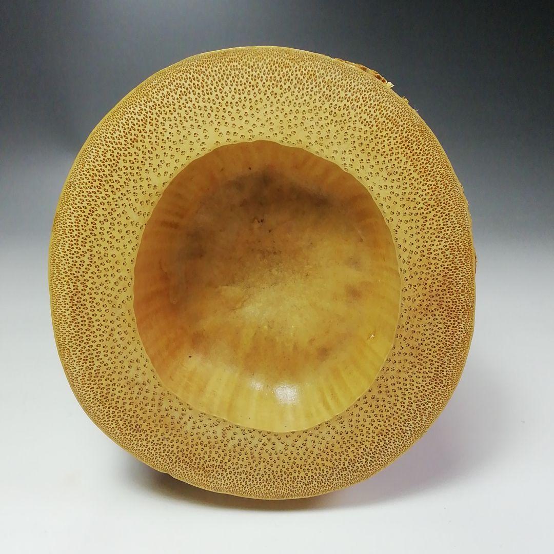 Ｓ４６６　花入　『竹一重切　花入』『大徳寺　立花大亀書』『銘　松風』　共箱